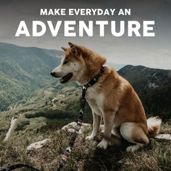 Embark Harness Co. Adventure Dog Leash, Aztec, 4-ft slide 2 of 7