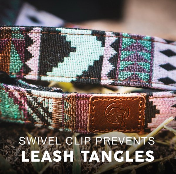 Show full view: Embark Harness Co. Adventure Dog Leash, Aztec, 4-ft slide 6 of 7