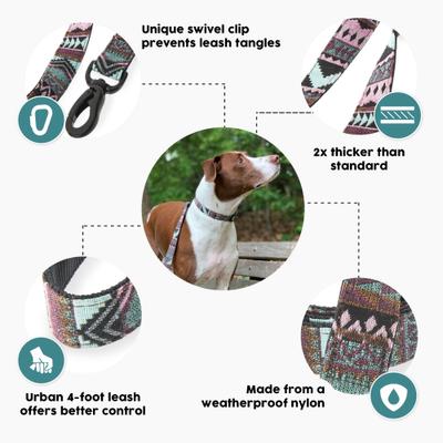 Show full view: Embark Harness Co. Adventure Dog Leash, Aztec, 4-ft slide 2 of 7