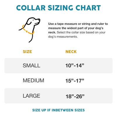 Show full view: Embark Harness Co. Adventure Dog Collar, Azure, Medium slide 2 of 7