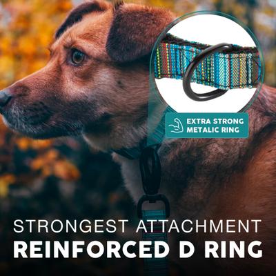 Show full view: Embark Harness Co. Adventure Dog Collar, Boho, Small slide 5 of 7