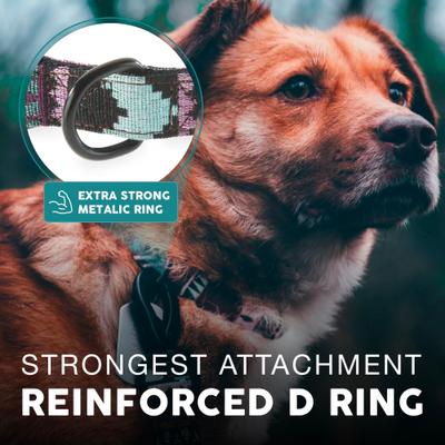 Show full view: Embark Harness Co. Adventure Dog Collar, Aztec, Large slide 6 of 8