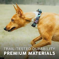 Embark Harness Co. Adventure Dog Collar, Aztec, Medium slide 2 of 7