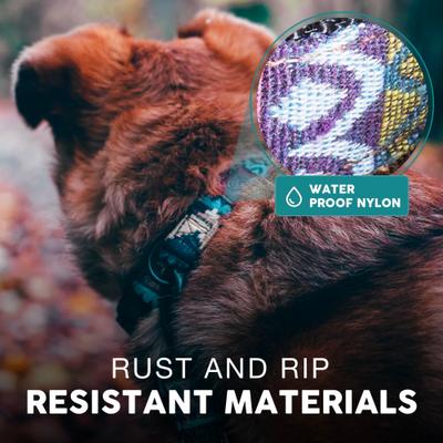 Show full view: Embark Harness Co. Adventure Dog Collar, Azure, Medium slide 6 of 7