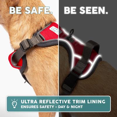 Show full view: Embark Harness Co. Adventure No Pull Dog Harness, Red, Medium slide 7 of 8