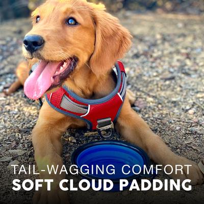 Show full view: Embark Harness Co. Adventure No Pull Dog Harness, Red, Large slide 4 of 8