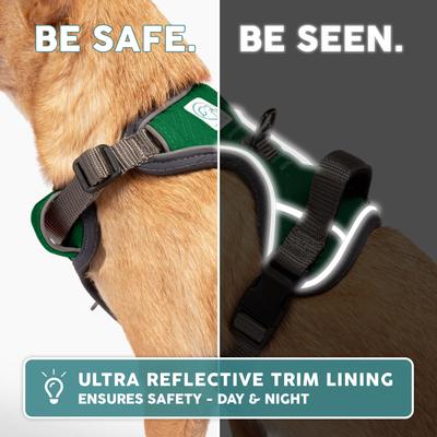 Show full view: Embark Harness Co. Adventure No Pull Dog Harness, Green, Small slide 8 of 9