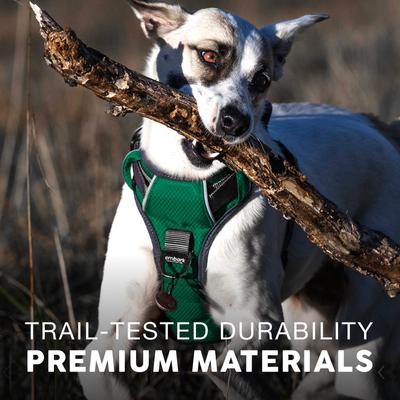 Show full view: Embark Harness Co. Adventure No Pull Dog Harness, Green, Small slide 6 of 9