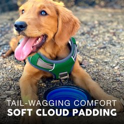 Embark Harness Co. Adventure No Pull Dog Harness, Green, Medium slide 2 of 8