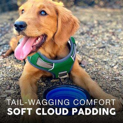 Show full view: Embark Harness Co. Adventure No Pull Dog Harness, Green, Small slide 4 of 9