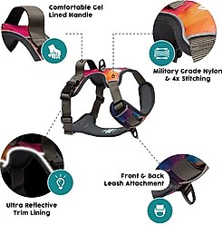 Embark Harness Co. Adventure No Pull Dog Harness, Aurora, Large slide 2 of 8
