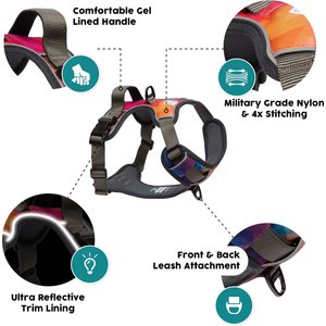 Embark Harness Co. Adventure No Pull Dog Harness, Aurora, Medium