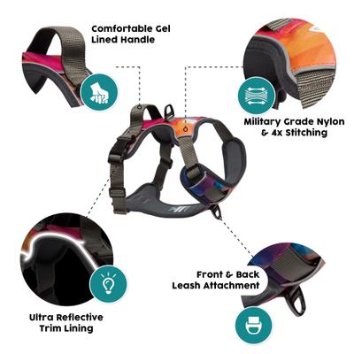 Show full view: Embark Harness Co. Adventure No Pull Dog Harness, Aurora, Medium slide 5 of 11