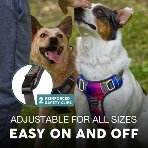 Embark Harness Co. Adventure No Pull Dog Harness, Aurora, Medium