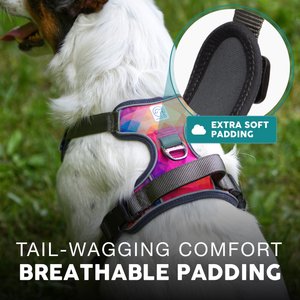 Embark Harness Co. Adventure No Pull Dog Harness, Aurora, Medium