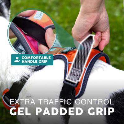 Show full view: Embark Harness Co. Adventure No Pull Dog Harness, Aurora, Medium slide 9 of 11