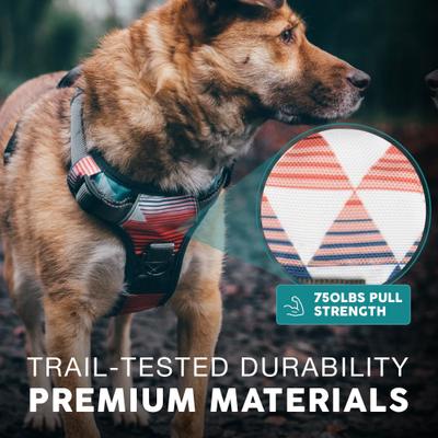 Show full view: Embark Harness Co. Adventure No Pull Dog Harness, Santa Monica, Large slide 7 of 10