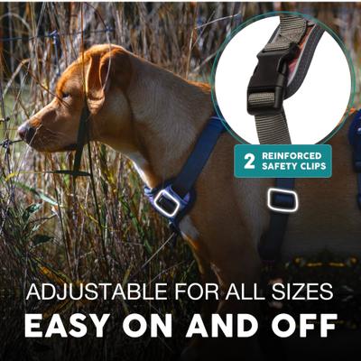 Show full view: Embark Harness Co. Adventure No Pull Dog Harness, Santa Monica, Large slide 6 of 10