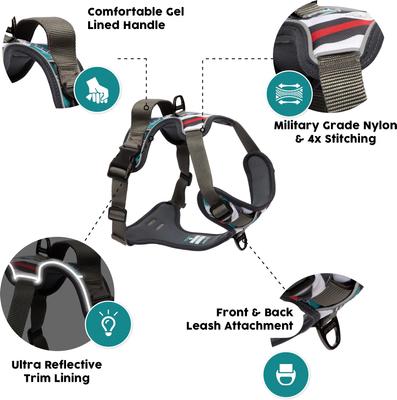 Show full view: Embark Harness Co. Adventure No Pull Dog Harness, Maverick, Large slide 4 of 9