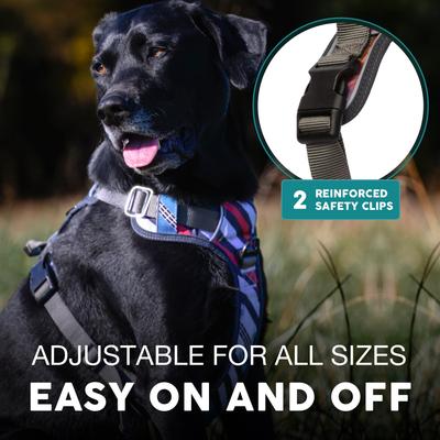 Show full view: Embark Harness Co. Adventure No Pull Dog Harness, Maverick, Large slide 6 of 9