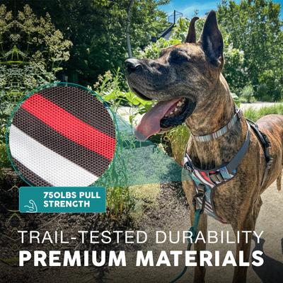 Show full view: Embark Harness Co. Adventure No Pull Dog Harness, Maverick, Large slide 7 of 9