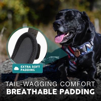 Show full view: Embark Harness Co. Adventure No Pull Dog Harness, Maverick, Large slide 5 of 9