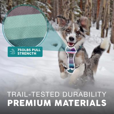 Show full view: Embark Harness Co. Adventure No Pull Dog Harness, Baja, Large slide 7 of 9