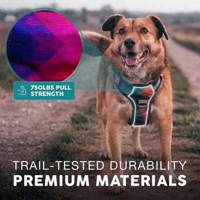 Show full view: Embark Harness Co. Adventure No Pull Dog Harness, Aurora, Large slide 7 of 10