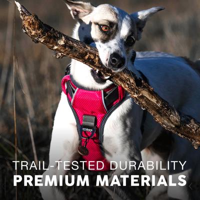 Show full view: Embark Harness Co. Adventure No Pull Dog Harness, Red, Large slide 6 of 8