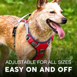 Embark Harness Co. Adventure No Pull Dog Harness, Red, Medium slide 2 of 7