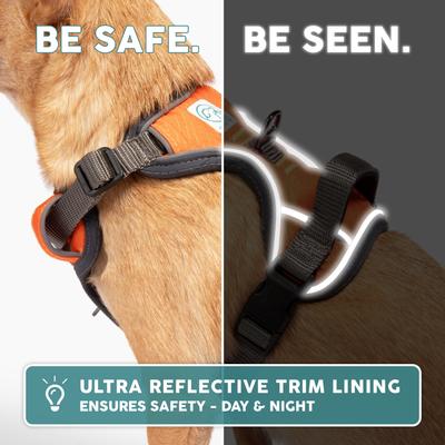 Show full view: Embark Harness Co. Adventure No Pull Dog Harness, Orange, Large slide 8 of 9