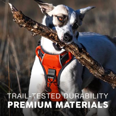 Show full view: Embark Harness Co. Adventure No Pull Dog Harness, Orange, Large slide 6 of 9
