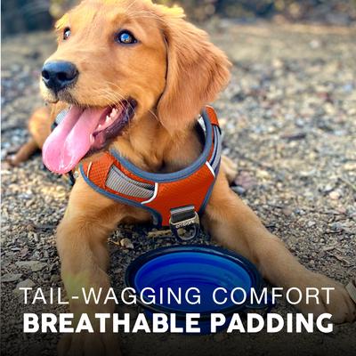 Show full view: Embark Harness Co. Adventure No Pull Dog Harness, Orange, Large slide 4 of 9