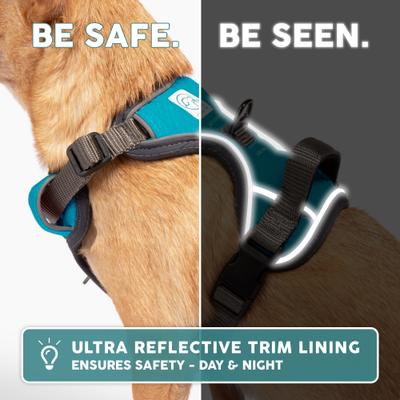 Show full view: Embark Harness Co. Adventure No Pull Dog Harness, Teal, Large slide 8 of 10