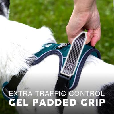 Show full view: Embark Harness Co. Adventure No Pull Dog Harness, Teal, Large slide 7 of 10