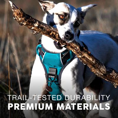 Show full view: Embark Harness Co. Adventure No Pull Dog Harness, Teal, X-Large slide 6 of 9