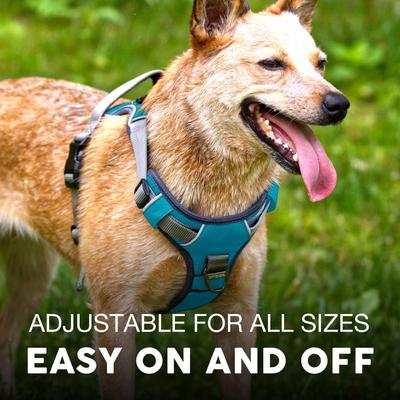 Show full view: Embark Harness Co. Adventure No Pull Dog Harness, Teal, X-Large slide 5 of 9