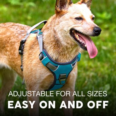 Show full view: Embark Harness Co. Adventure No Pull Dog Harness, Teal, Large slide 5 of 10