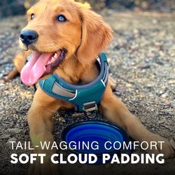 Embark Harness Co. Adventure No Pull Dog Harness, Teal, Large slide 2 of 8