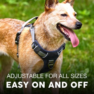 Show full view: Embark Harness Co. Adventure No Pull Dog Harness, Black, Small slide 4 of 10