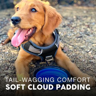 Show full view: Embark Harness Co. Adventure No Pull Dog Harness, Black, Small slide 5 of 10