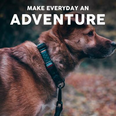 Show full view: Embark Harness Co. Adventure Dog Leash, Mayan, 4-ft slide 7 of 7