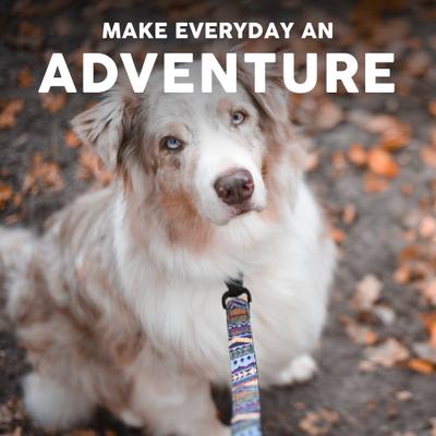 Show full view: Embark Harness Co. Adventure Dog Leash, Azure, 4-ft slide 7 of 7