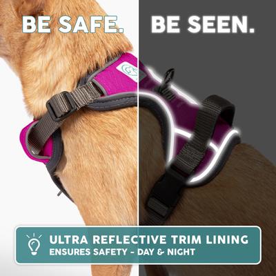 Show full view: Embark Harness Co. Adventure No Pull Dog Harness, Pink, X-Small slide 9 of 10