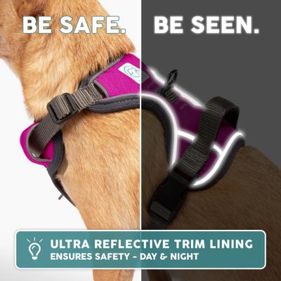 Show full view: Embark Harness Co. Adventure No Pull Dog Harness, Pink, Small slide 8 of 10