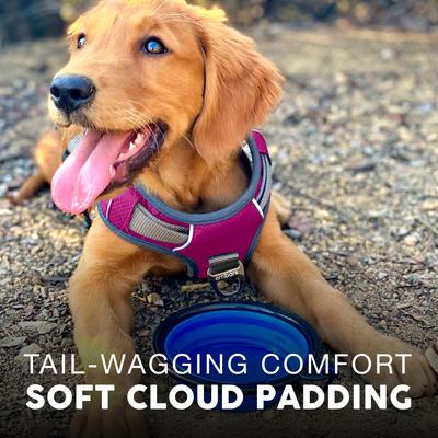 Show full view: Embark Harness Co. Adventure No Pull Dog Harness, Pink, X-Small slide 6 of 10