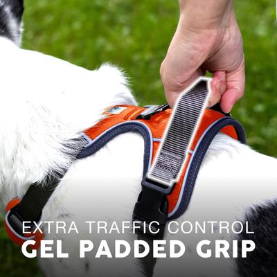 Show full view: Embark Harness Co. Adventure No Pull Dog Harness, Orange, Large slide 7 of 9