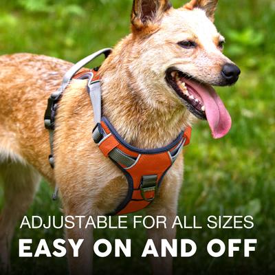 Show full view: Embark Harness Co. Adventure No Pull Dog Harness, Orange, Large slide 5 of 9