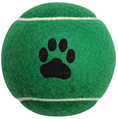 Show full view: Zanies Rainbow Tennis Ball Dog Toy, 2.5-in, 6 count slide 6 of 8