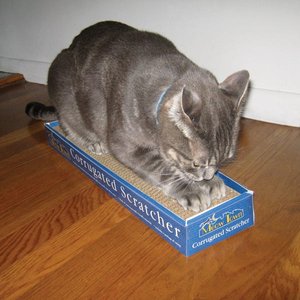 Meow Town Corrugated Scratcher 19-in Cat Toy